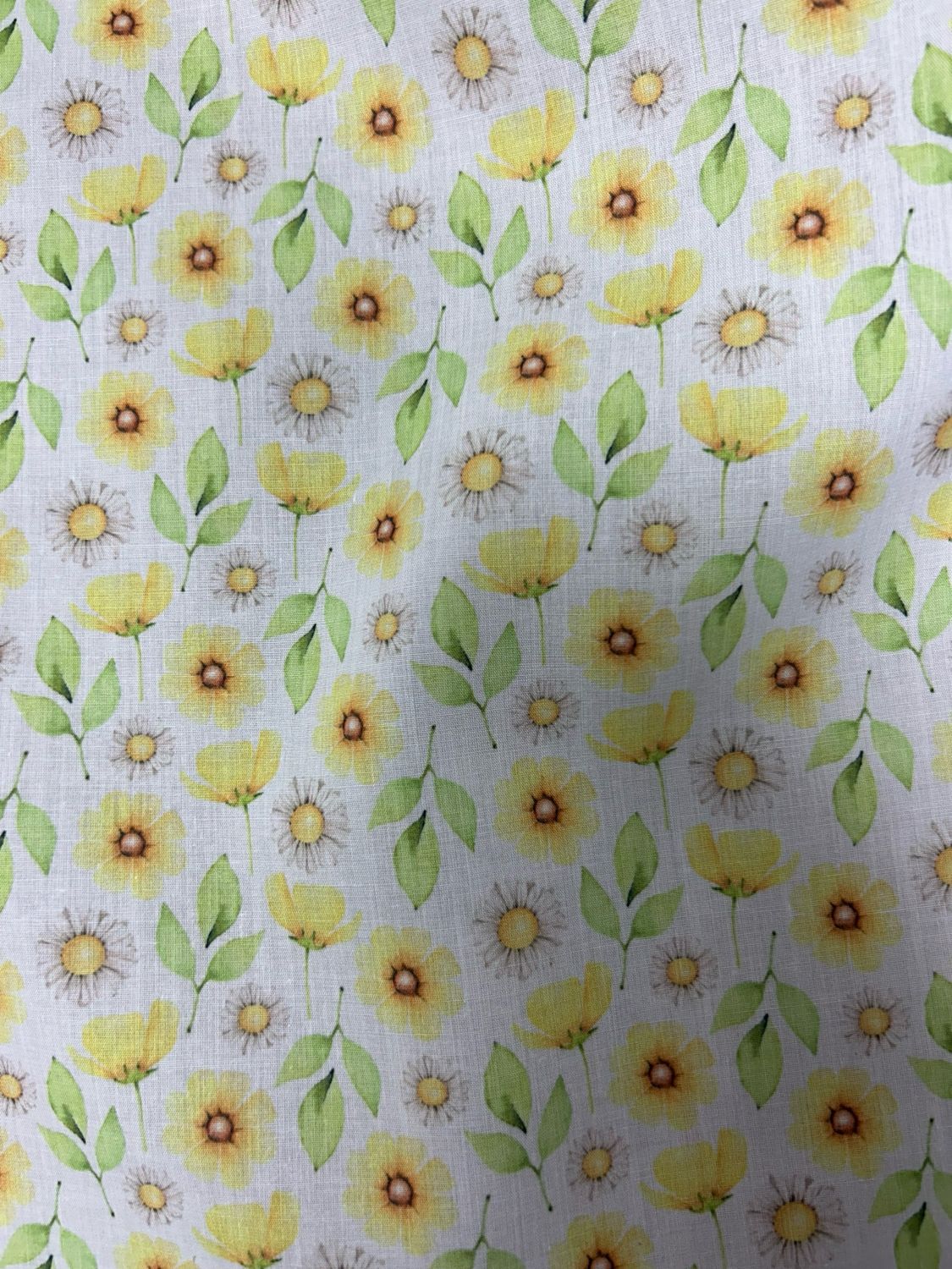 Summer Daisy Flower