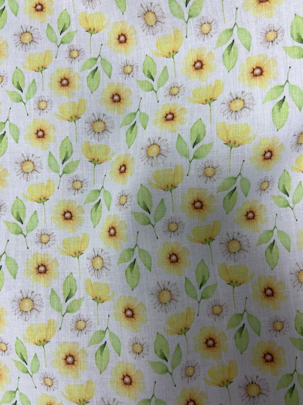 Summer Daisy Flower