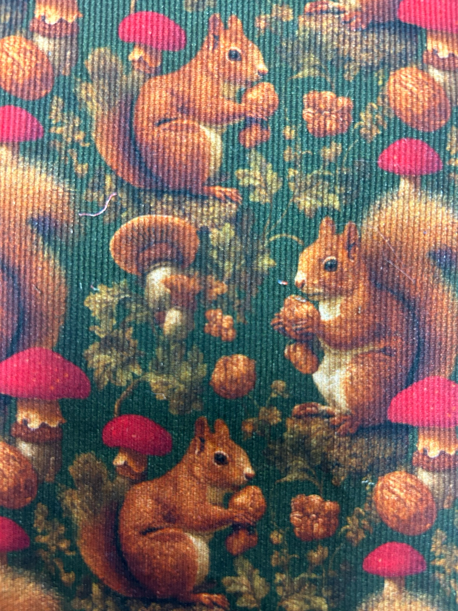 Needlecord Squirrel Feast