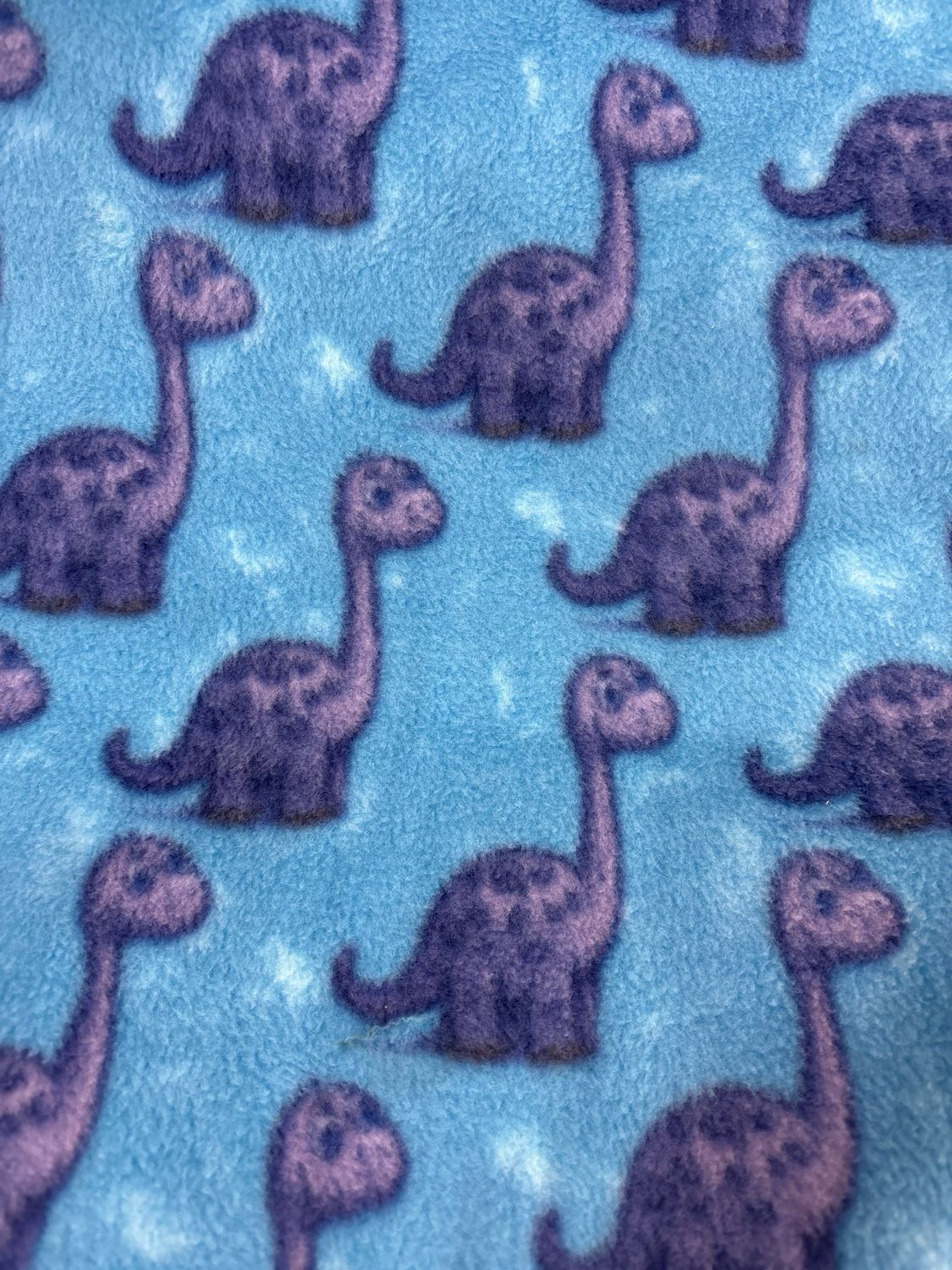 Prehistoric Dino Fleece