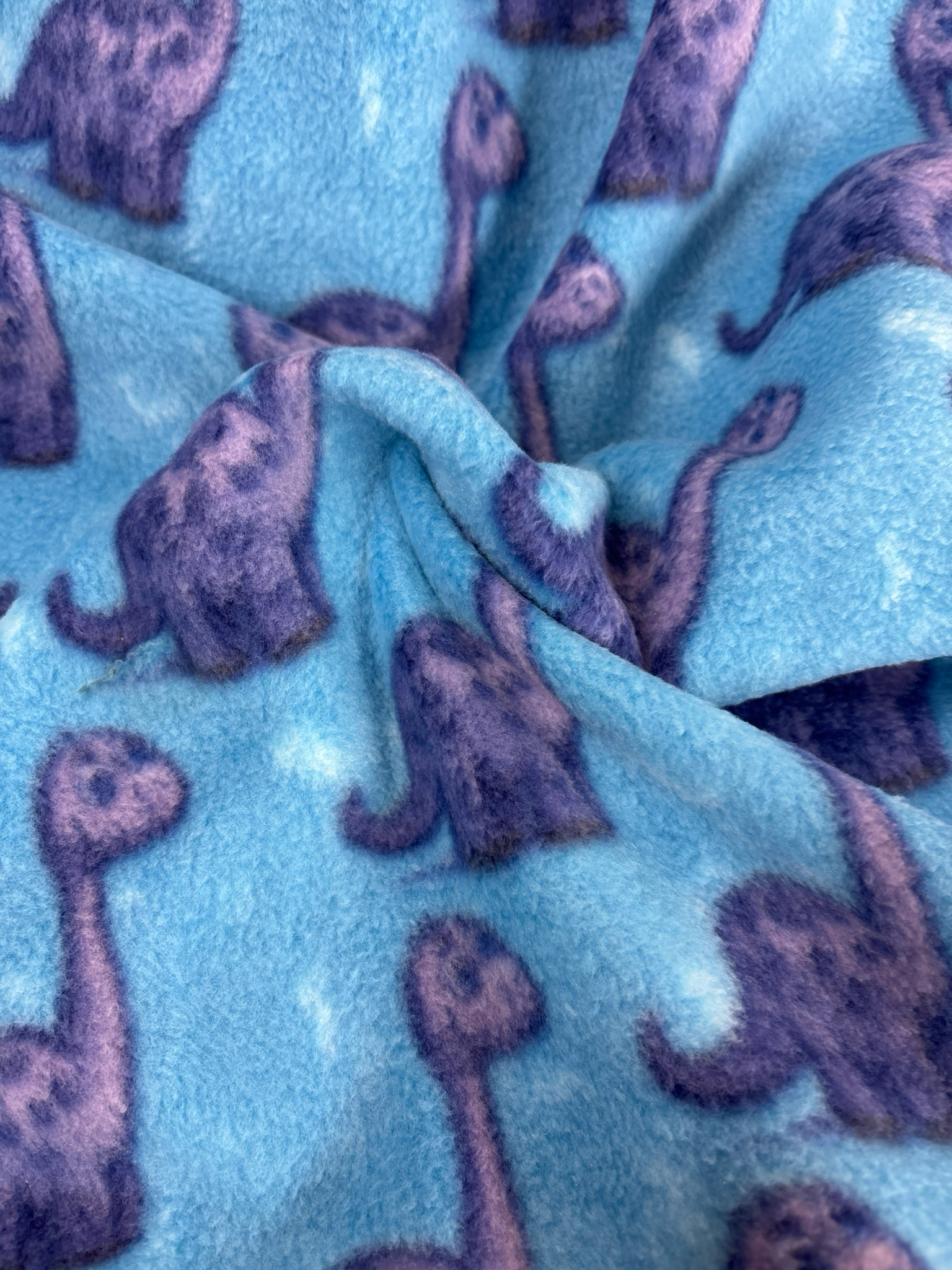 Prehistoric Dino Fleece