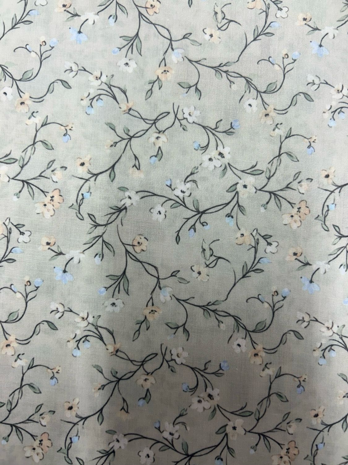 Flower Trail Cream