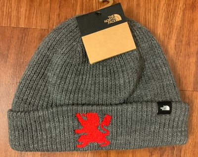 North Face Winter Beanie