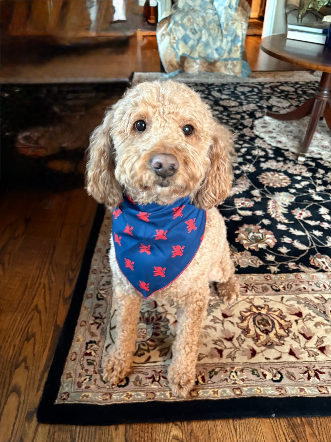 Pet Bandanas