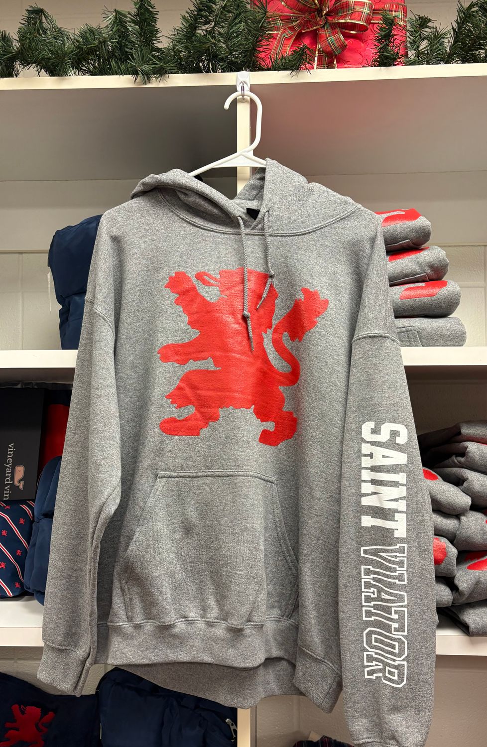 Lion Hoodie - Graphite Gray Lion Hoodie - Graphite Gray