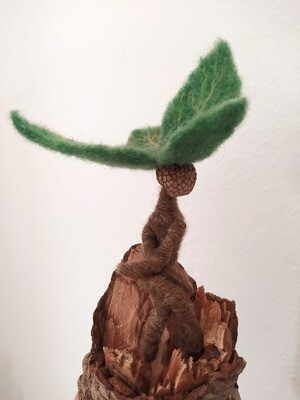 Espíritus de Plantas y Árboles