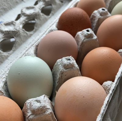 Farm Fresh Eggs - Half Dozen (6 pack)