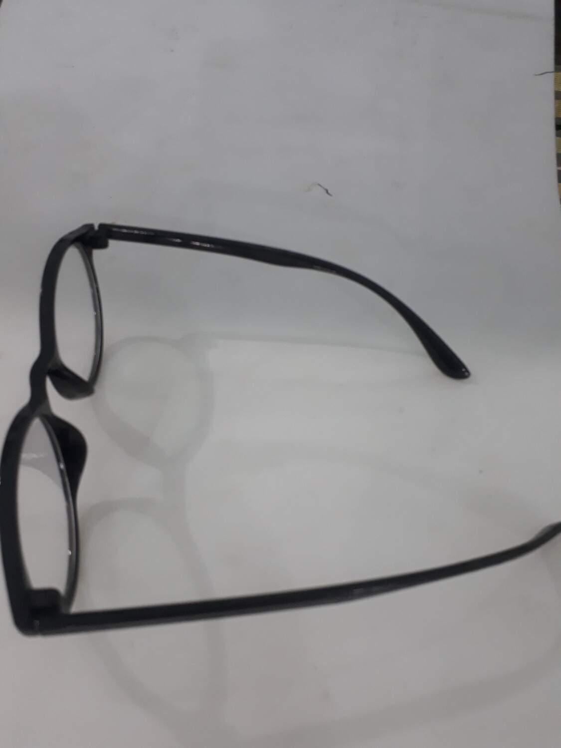 eagle sunglass