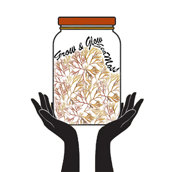 Grow & Glow Sea Moss