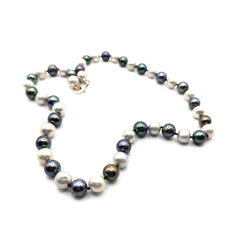 Collar &quot;Black and White&quot;
