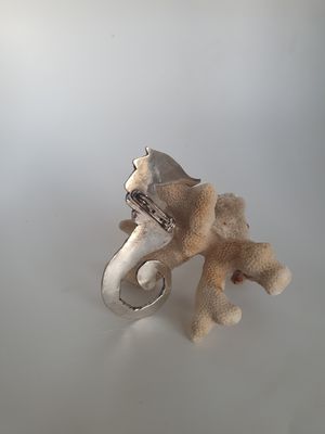 Broche &quot;Caballito de Mar&quot;