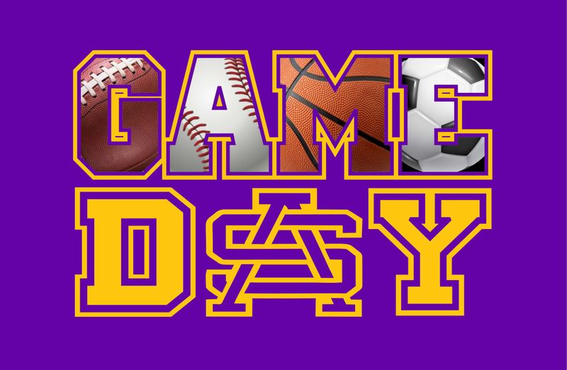 Game Day T-Shirt - Purple