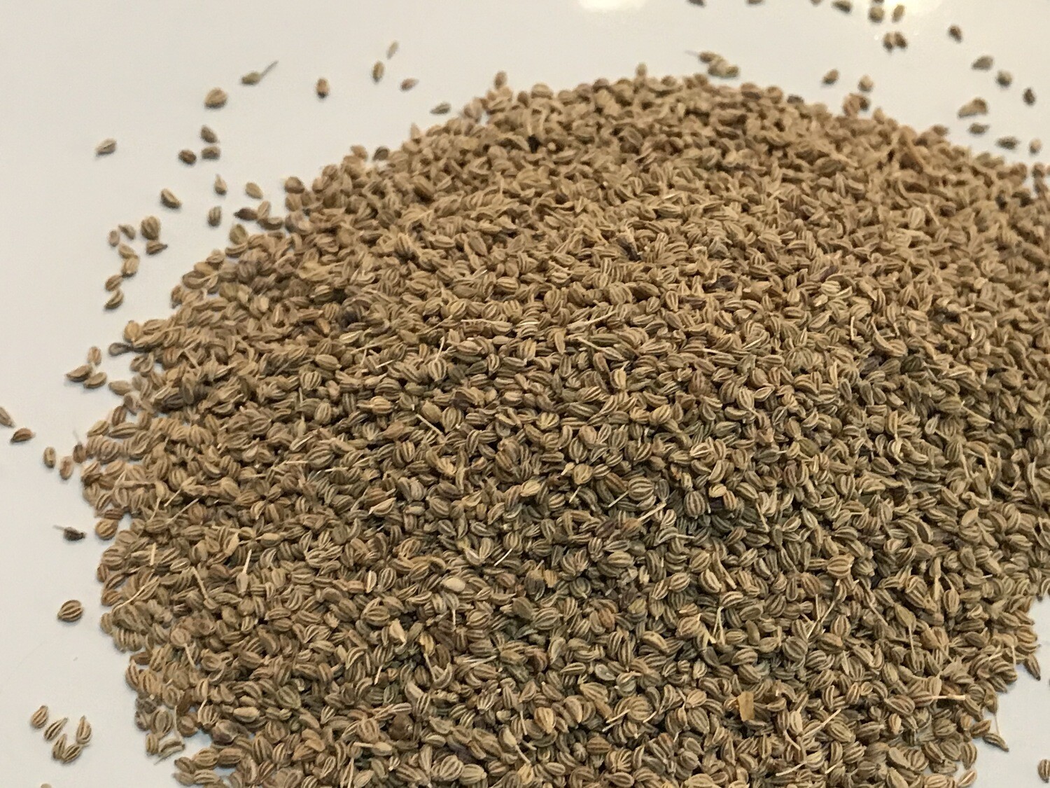 E-commerce Product Image