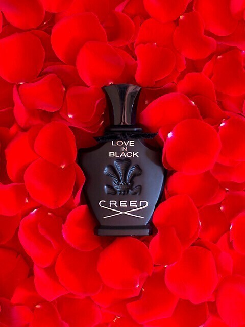CREED LOVE IN BLACK FEMME EDP 75ML