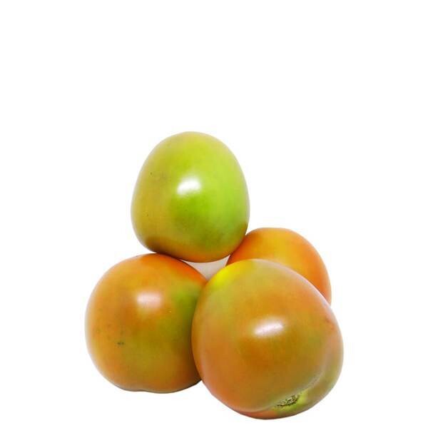 Tomate Chonto Verde X 1 Li bra UND