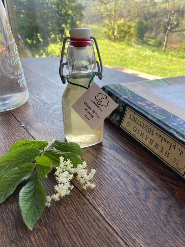 Cordial de flores de saúco de cultivo ecológico