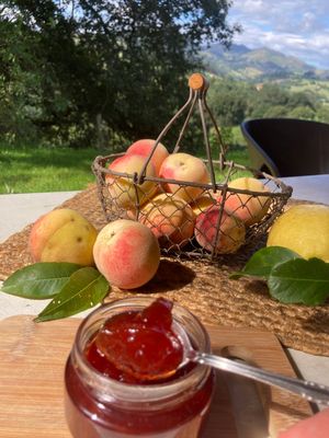 Mermelada de melocotones de nuestra finca