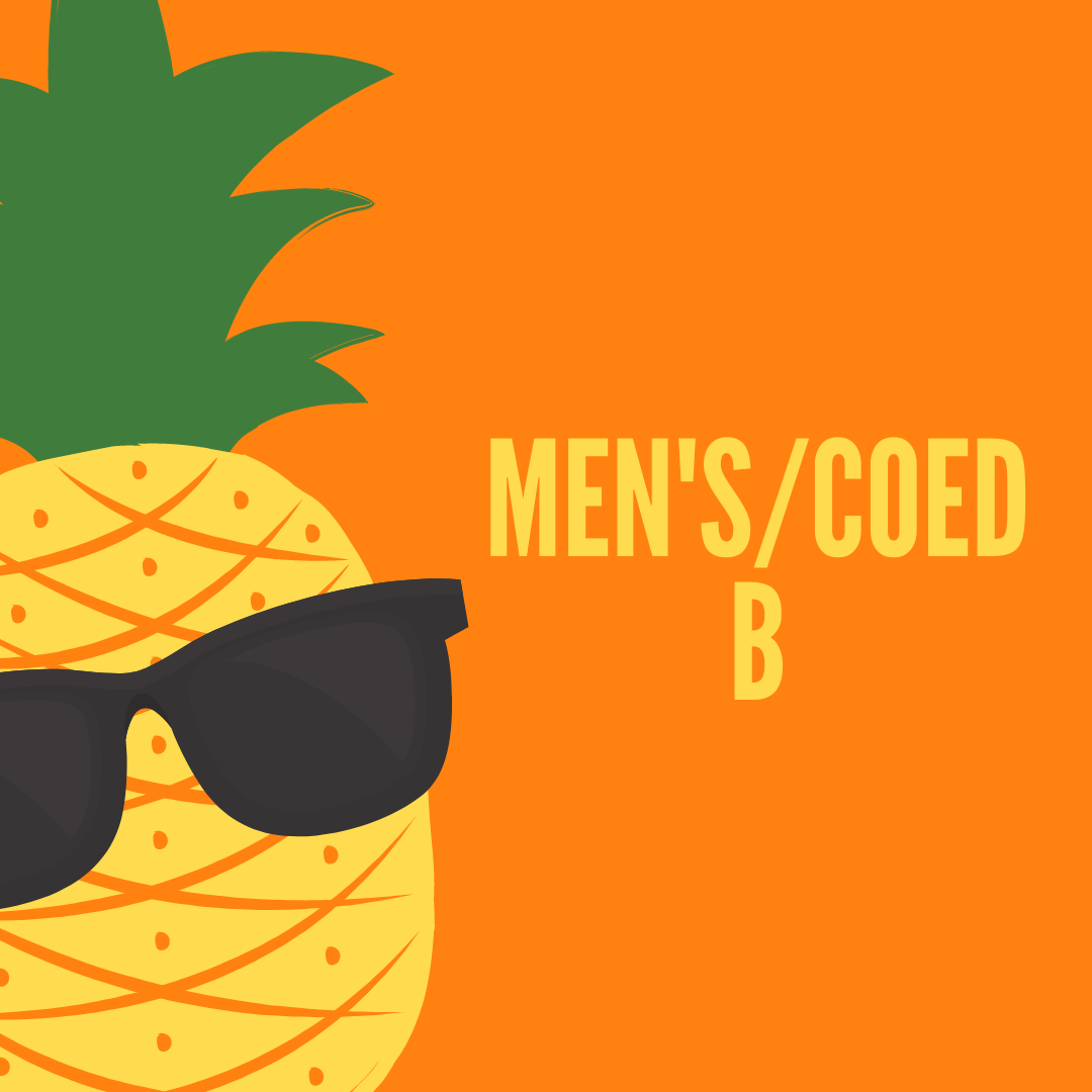 Men's/Coed Doubles B