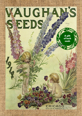 Beautifully Vintage Herb Card
