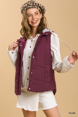 K6199Plum