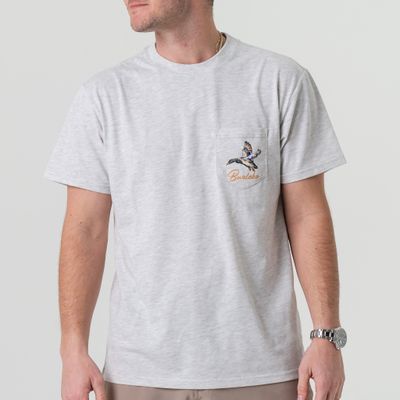 pintailtriangleduck
