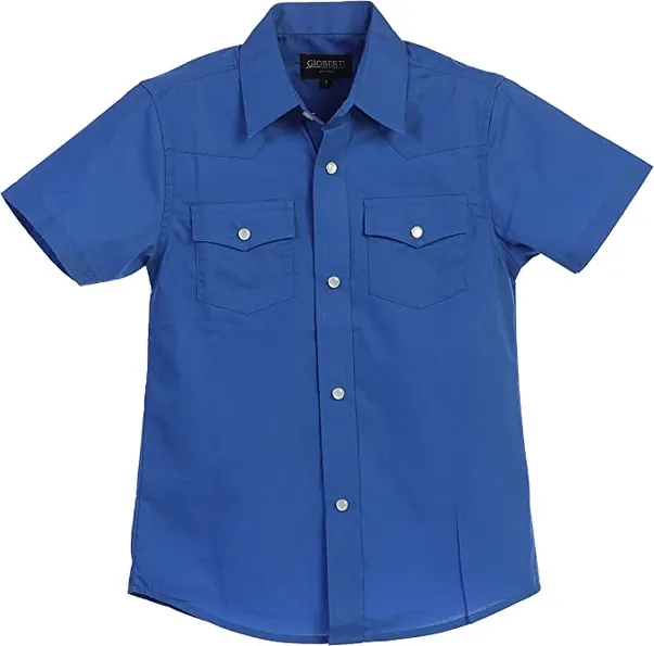 gbss95wblue