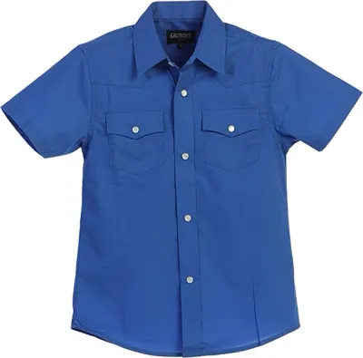 gbss95wblue
