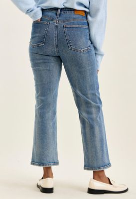881166reg
