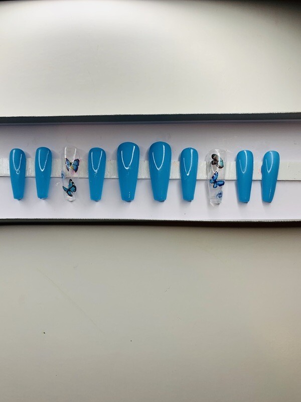 Blue Morpho