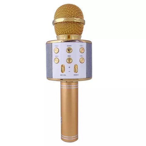 WS-858 wireless Bluetooth speaker