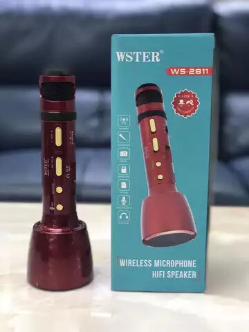 WS-8211 wireless Bluetooth speaker