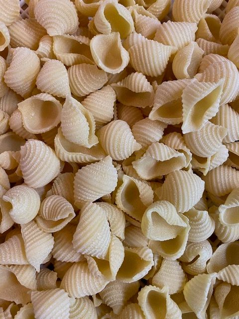 Shells (Fresh, Bronze Die Extruded, 300g)