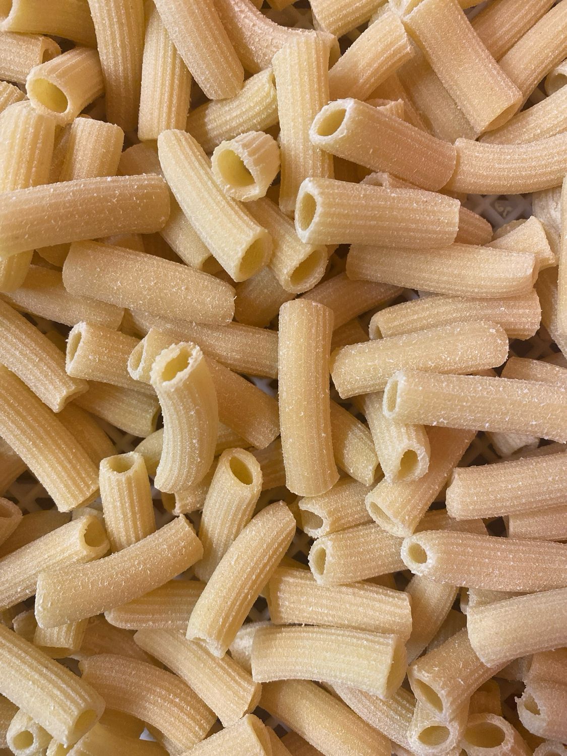 Rigatoni (Fresh, Bronze Die Extruded, 300g) 