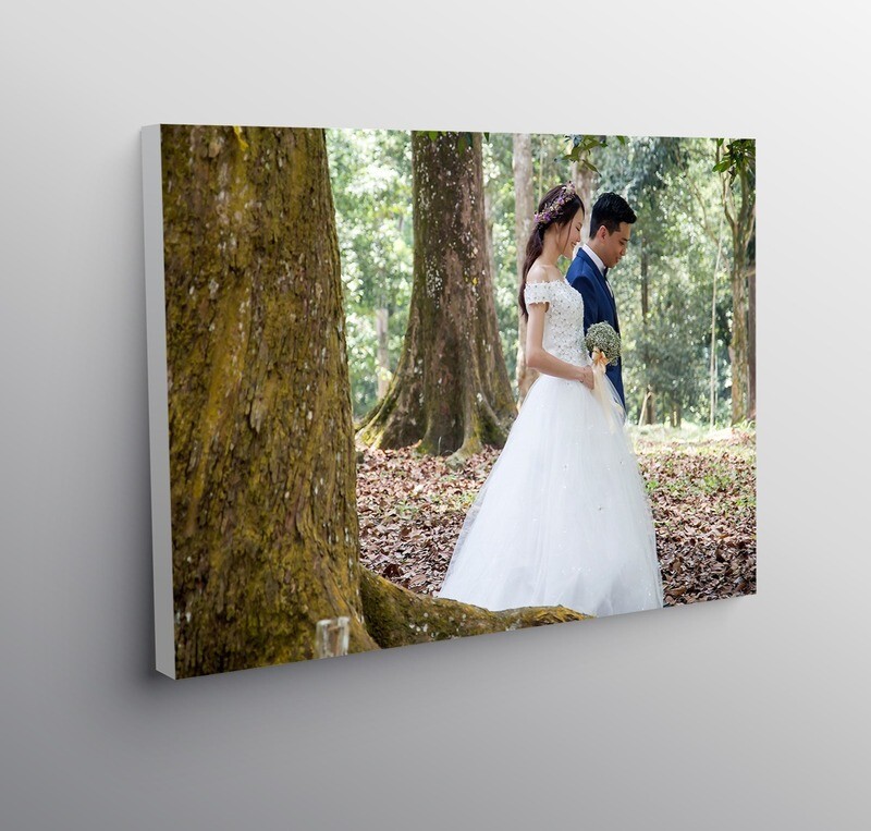 Canvas Frame (White Border) - 20&quot; x 30&quot;