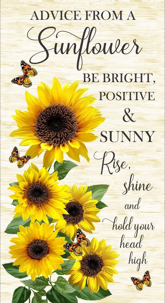 Advice from a Sunflower panel