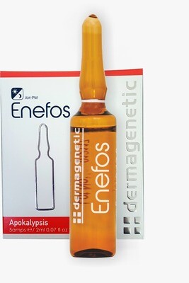ENEFOS сыворотка с липидами 5 ампул по 2 мл