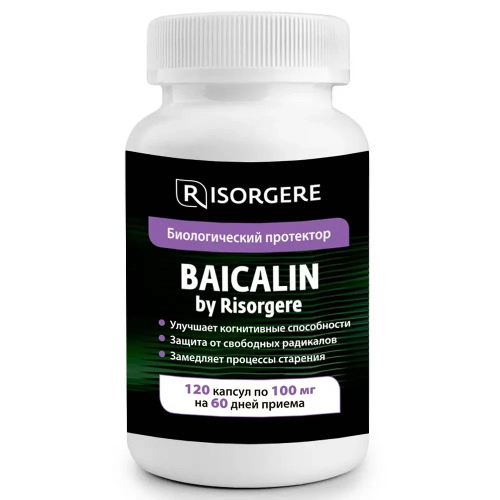 Хадарт. Гинкго билоба и байкальский шлемник сибирское здоровье. Байкалин что это такое. Байкалин что это такое. Шлёмник байкальский противопоказания.