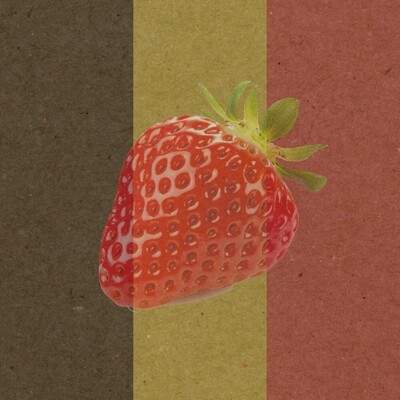 BELGIUM FRUIT