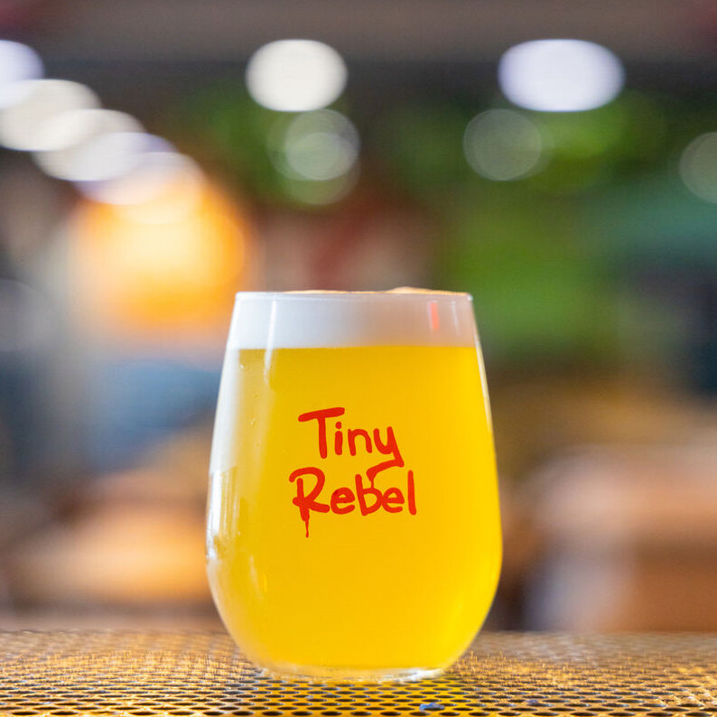 Tiny Rebel Beer / Gin Glass