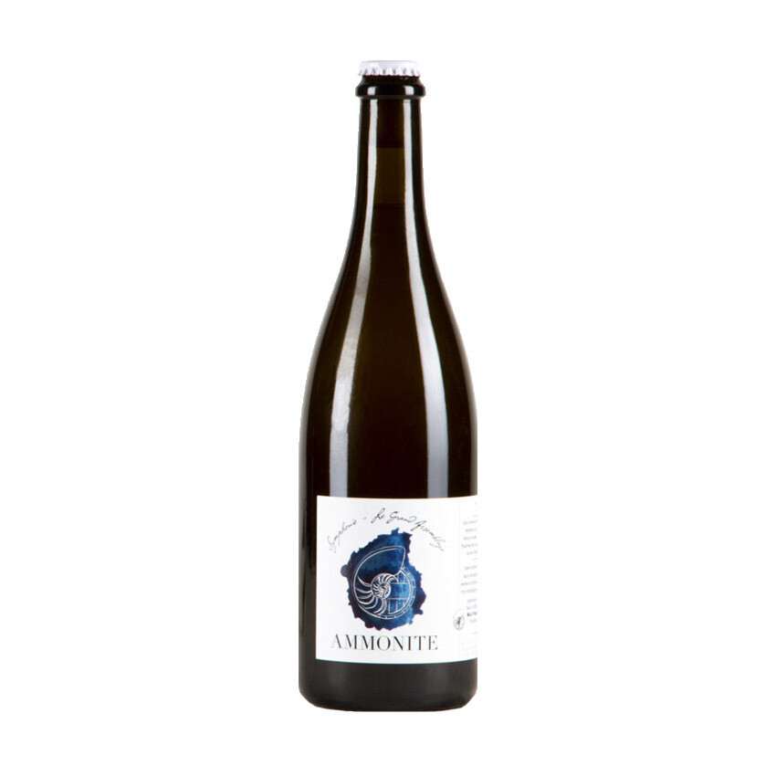 Ammonite Symphonie Solera V Blended Sour SMALL