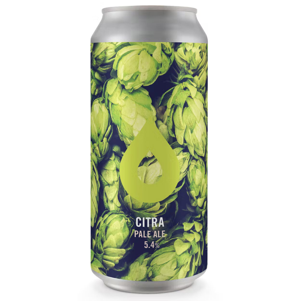 Polly's Citra Pale Ale