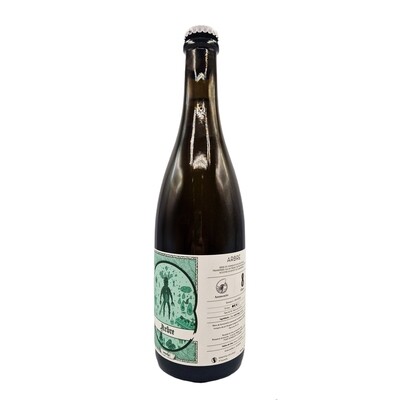 Ammonite x Ellipse Arbre BA Sour