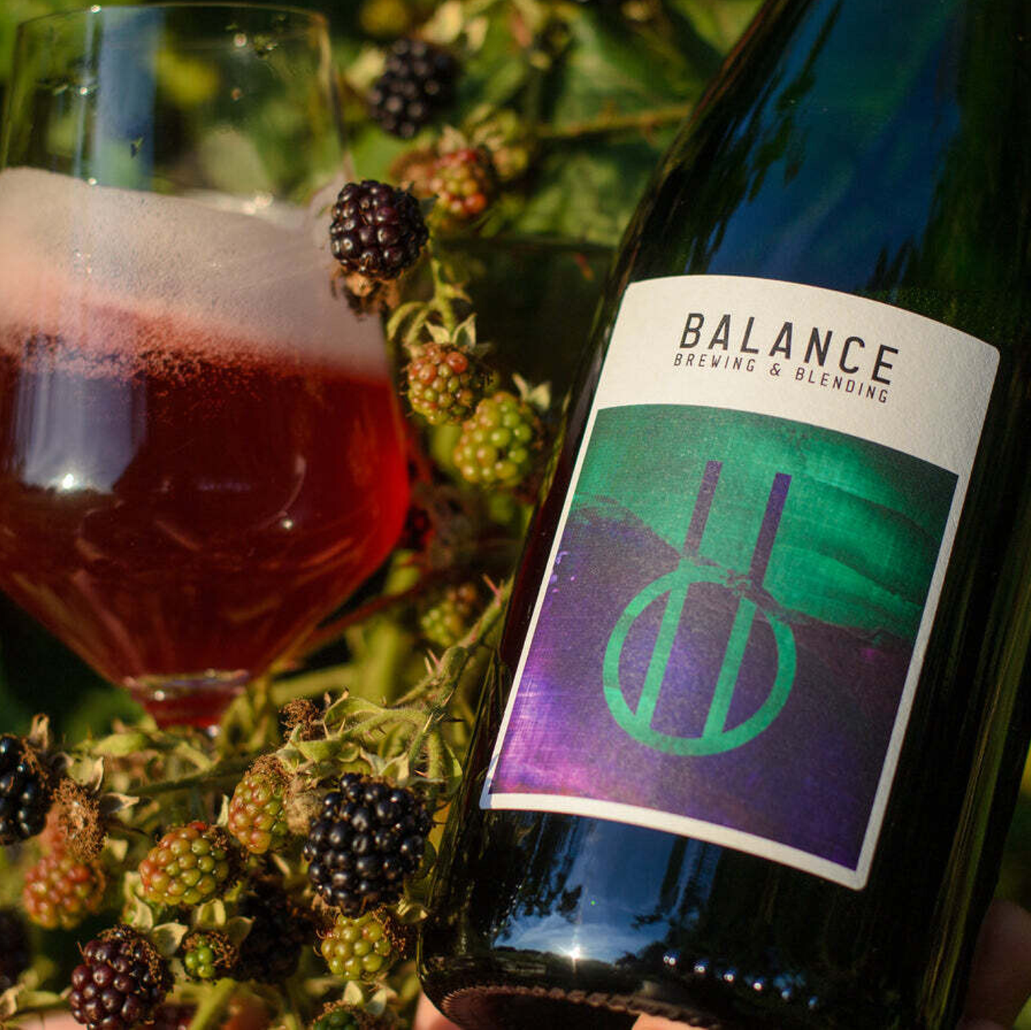 Balance Bramble Wild Ale