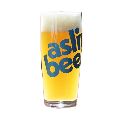 Aslin Beer Glass