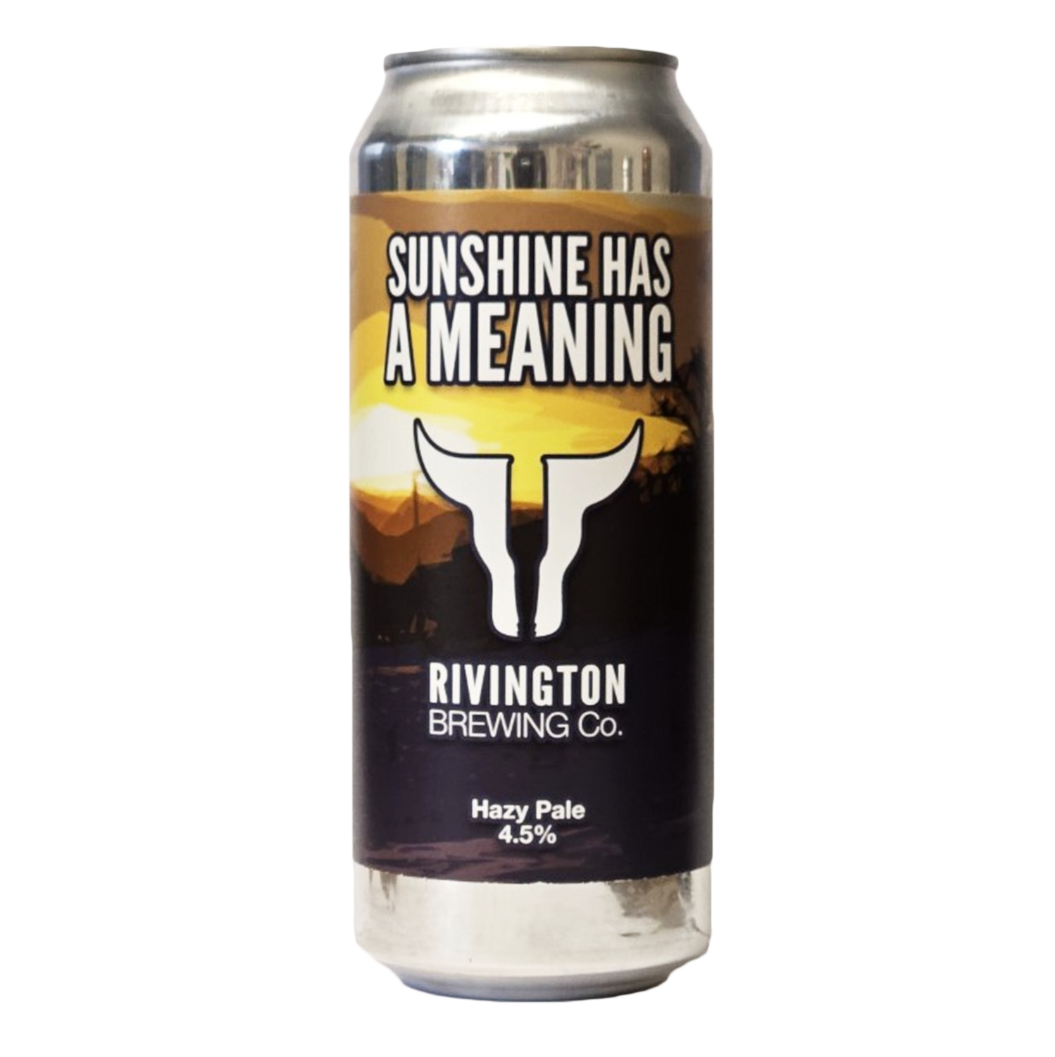 Rivington Sunshine Has A Meaning Pale Ale