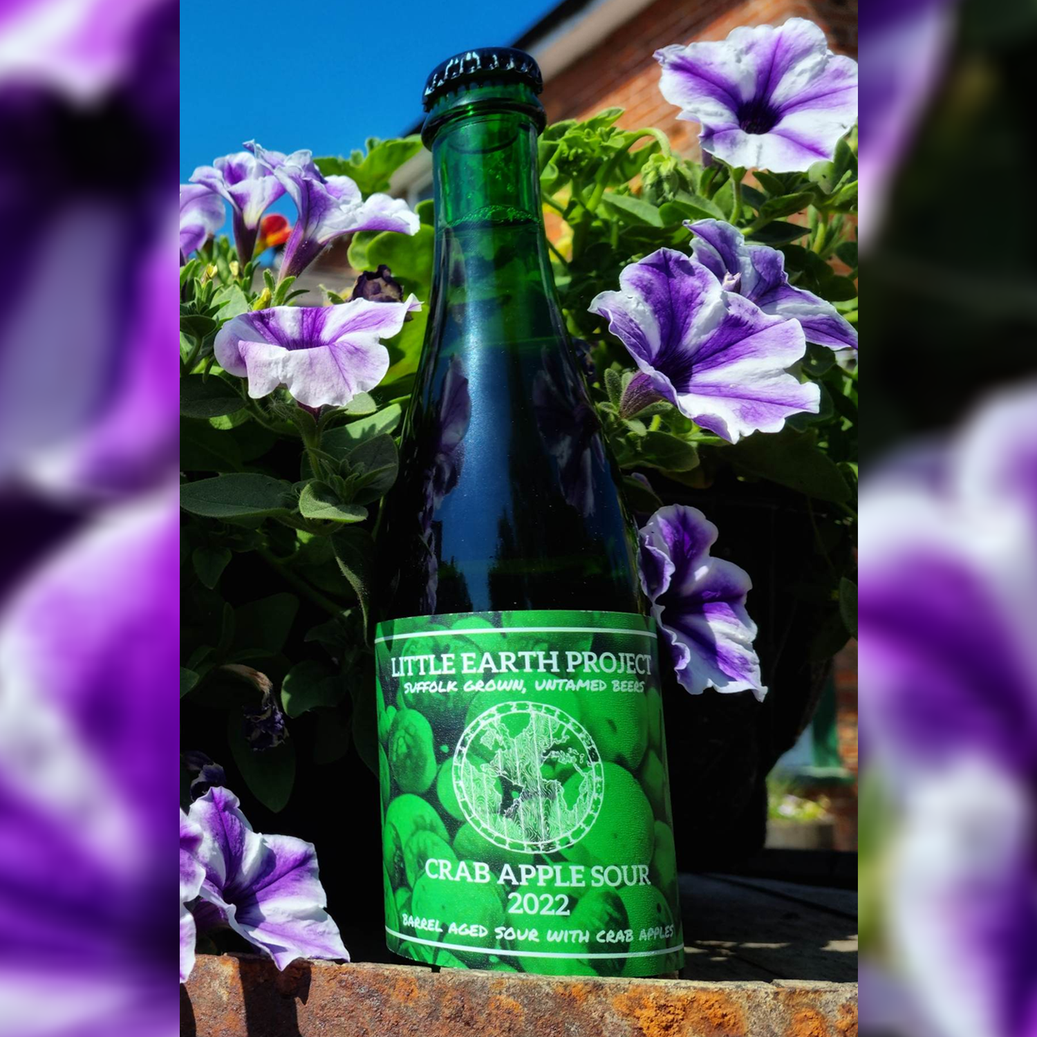 Little Earth Project Crab Apple Sour 2022 BA Sour Little Earth Project Crab Apple Sour 2022 BA Sour