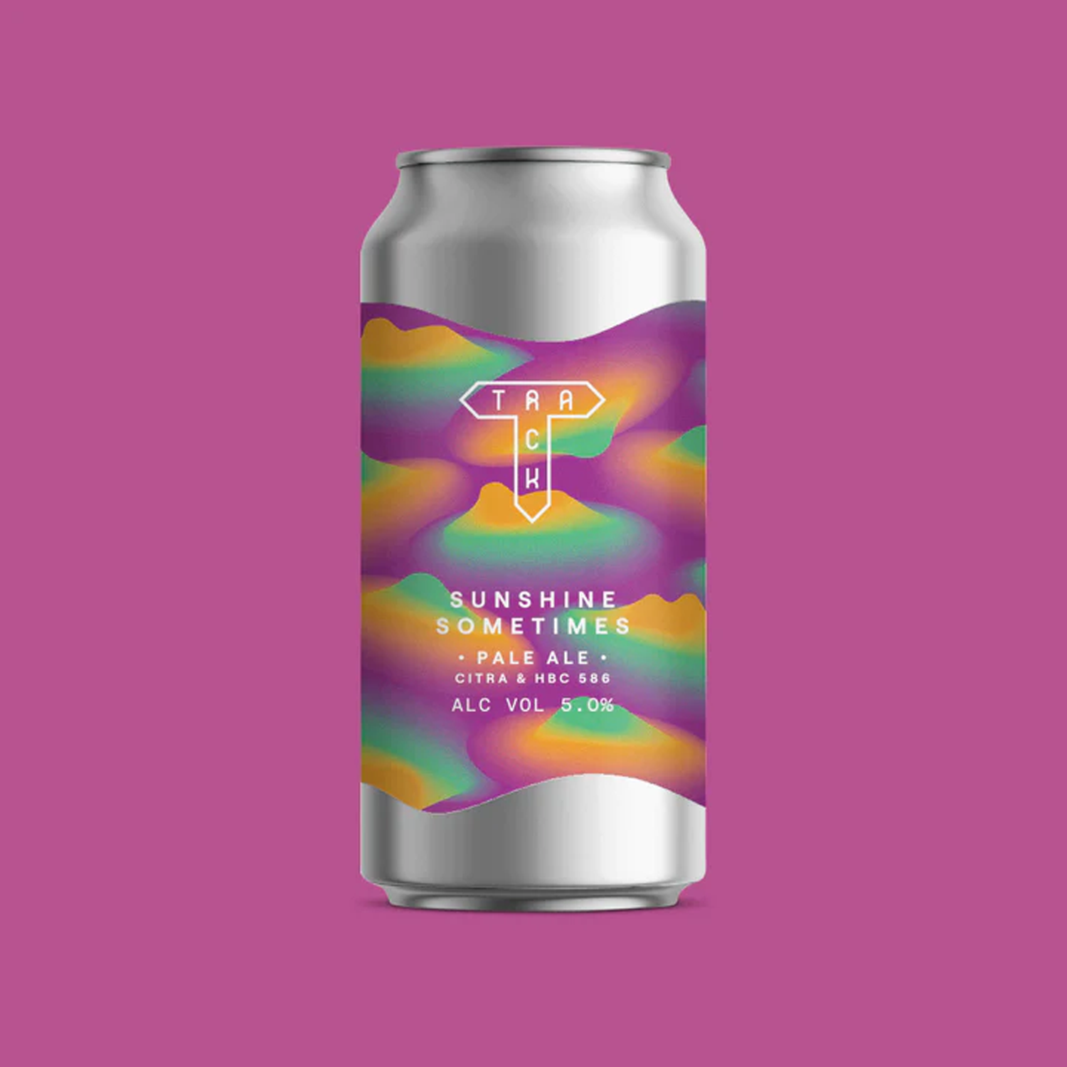 Track Sunshine Sometimes Pale Ale Track Sunshine Sometimes Pale Ale