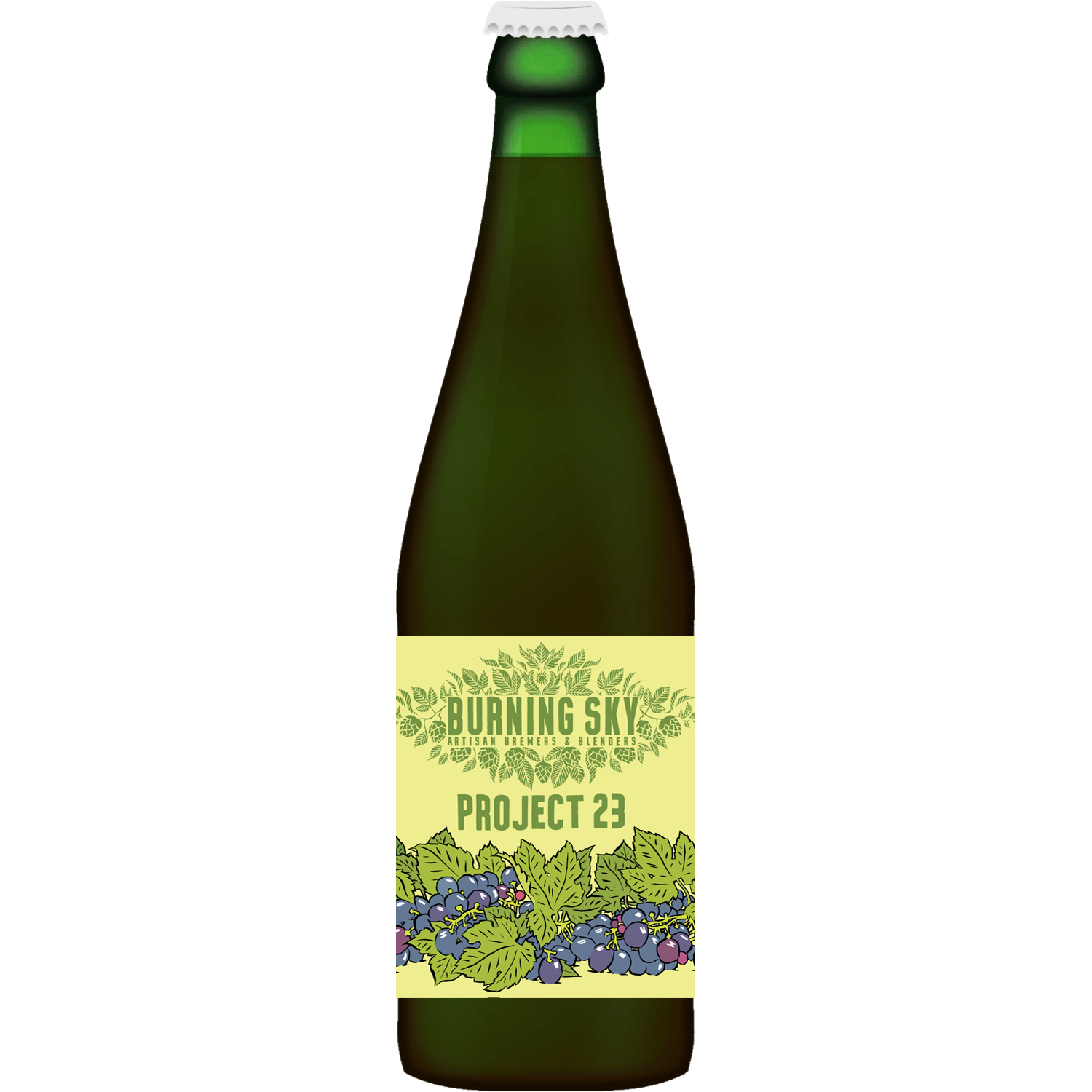 Burning Sky Project 23 Beer Wine Hybrid