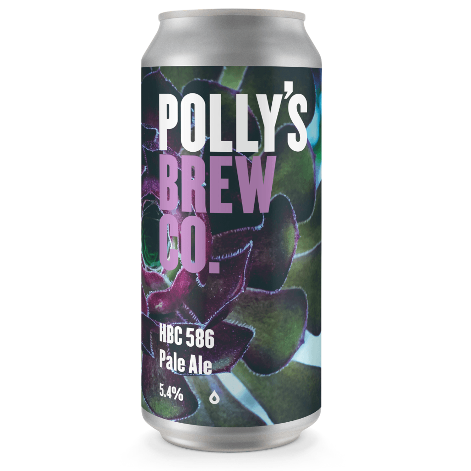 Polly's The Hop Studio HBC 586 Pale Ale