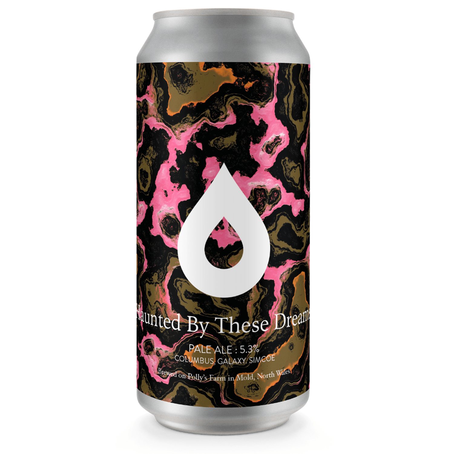 Polly&#39;s Haunted By These Dreams Pale Ale